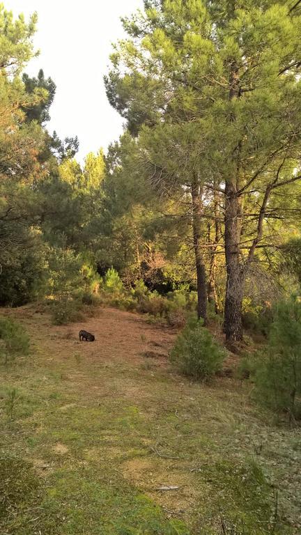 Holiday home Du Puy
